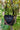 7380ff140ee14ddaa2a4245c74a2256b-Max