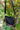 76c15a7dd0eb4cf9b826a91dcddc5798-Max