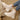 b6ab3e95-8f5a-4934-82b5-edfac0d96b8b-Max